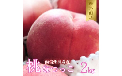 【南信州高森産】旬の桃 なつっこ 2kg <2025年8月上旬より発送＞