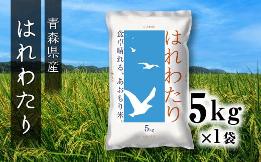 青森県産 はれわたり 5kg 5kg×1袋 令和6年産 米 精米 白米 お米 青森県産