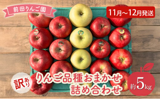 りんご 【 11月 ～ 12月発送 】 前田りんご園 訳あり りんご 品種おまかせ詰め合わせ 約 5kg 【 弘前市産 青森りんご 】 1558512 - 青森県弘前市