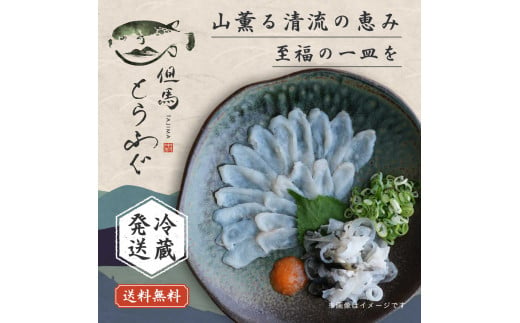 ◤海がないまちの旧幼稚園舎育ち◢ 但馬とらふぐ てっさ盛り 3〜4人前(てっさ100g ふぐ皮60g ポン酢30ml) ふぐ フグ 河豚 とらふぐ トラフグ てっさ てっぴ ふぐ皮 刺身 ふぐ刺し 冷蔵 日付指定 内陸養殖 陸上養殖 遊休施設 有効活用 地域活性化 兵庫県 朝来市 AS27C26