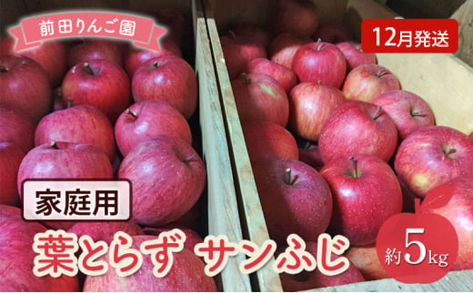 りんご 【 12月発送 】 前田りんご園 家庭用 葉とらず サンふじ 約 5kg 【 弘前市産 青森りんご 】 1558509 - 青森県弘前市