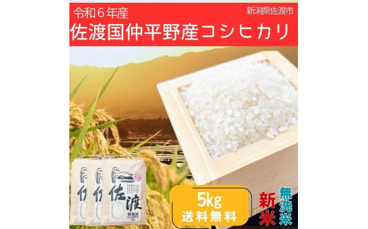 ＜数量限定＞【令和6年産】佐渡国仲平野産コシヒカリ　精米【無洗米】5kg　送料無料 1554529 - 新潟県佐渡市