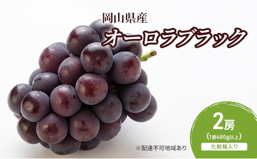 ぶどう 2025年 先行予約 オーロラブラック 2房(1房480g以上)　化粧箱入り ブドウ 葡萄 岡山県産 国産 フルーツ 果物 ギフト [№5735-2052]