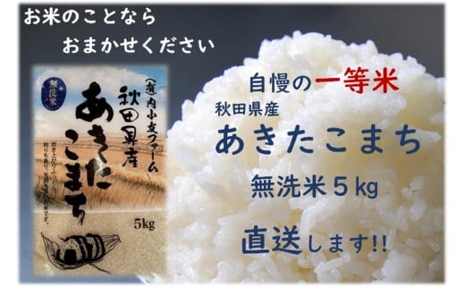 令和6年産 秋田県産あきたこまち 一等米 農家直送 無洗米5kg