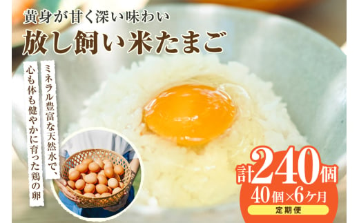 【6か月定期便】放し飼い米たまご35個+5個保証（計40個） 1511576 - 愛知県常滑市