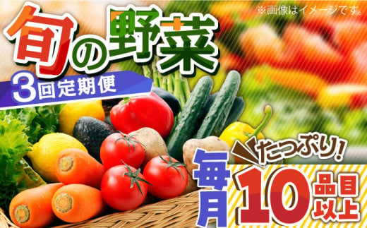 【3回定期便】地元農家さんが収穫した旬のお野菜  10種詰め合わせ / 野菜 旬 新鮮 採れたて 季節野菜 旬野菜 農家直送 野菜定期便 定期便 / 南島原市 / ミナサポ [SCW045] 613788 - 長崎県南島原市