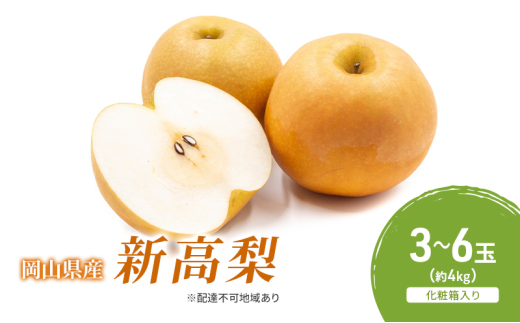 梨 2025年 先行予約 新高梨 3-6玉（約4kg） 化粧箱入り なし ナシ 岡山県産 国産 フルーツ 果物 ギフト [№5735-2056]