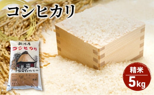 【令和6年産】コシヒカリ精米5kg「従来品種」 1171203 - 新潟県新潟市