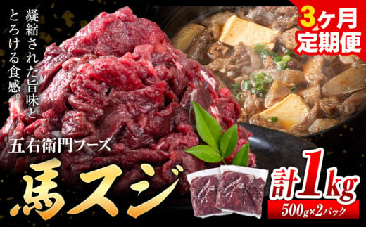 馬肉 馬スジ 500g × 2パック 3kg 3ヶ月定期便 五右衛門フーズ 《お申込み月の翌月から出荷開始》 熊本県 球磨郡 山江村 馬肉 肉 国産 スジ カレー 煮込み おでん おかず 送料無料 1624076 - 熊本県山江村