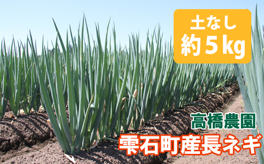 ＜令和６年産＞雫石町産 長ネギ約５kg（土なし）【高橋農園】/ 長ねぎ 野菜 ねぎ ネギ 272983 - 岩手県雫石町