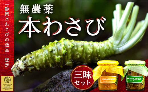 選べる本わさび三昧セット 「静岡水わさびの逸品」認定