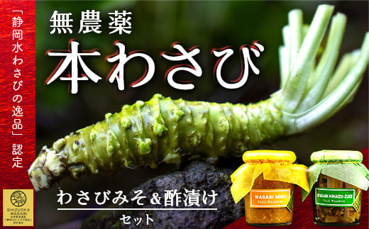 藤井わさび園の「無農薬本わさび・わさびみそ・わさびの茎二杯酢漬セット」 山葵 ワサビ 無添加 味噌 ごはんのお供 酒のつまみ 西伊豆 静岡