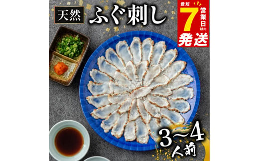 天然 ふぐ 刺身 3-4人前 炙り ふぐ刺し 天然まふぐ 国産 まふぐ 河豚 フグ 国産ふぐ 炙りタタキ タタキ 国産まふぐ 鮮魚 お魚 魚 魚介 ギフト 贈答 贈り物 化粧箱 玄品 大阪府 松原市