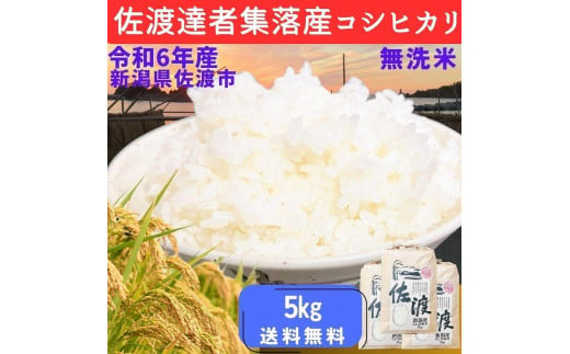 [数量限定][令和6年産]佐渡達者集落産コシヒカリ 精米[無洗米]5kg 送料無料