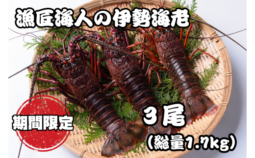 魚匠海人おすすめ!熊野灘産 「活 伊勢海老約1.7kg 」[3尾]エビ 海老 おせち お歳暮 刺身 天然 お祝い 海鮮 魚介 BBQ バーベキュー みそ汁[GK01]