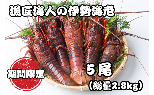 魚匠海人おすすめ!熊野灘産 「活 伊勢海老 2.8kg 」[5尾] 大漁コース 正月 おせち お歳暮 刺身 天然 お祝い 海鮮 魚介 BBQ バーベキュー みそ汁[F01]