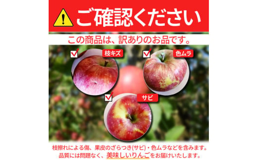 長野県松川村のふるさと納税 *【2024年 令和6年度発送 先行予約】東印平林農園 訳あり 安曇野の サンふじ 約9kg ｜ リンゴ りんご 林檎 果物 フルーツ 果実 果汁 サンふじ さんふじ 家庭用 わけあり 訳アリ 長野県 松川村 信州