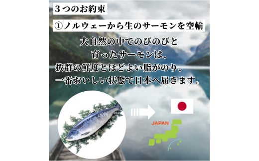 徳島県小松島市のふるさと納税 アトランティックサーモン 計1kg（切り落とし付き） 冷凍  鮭 刺し身 魚 人気 海鮮 生食用 刺身 お刺身 魚介類 魚介  海鮮丼 寿司 丼  カルパッチョ 海鮮サラダ ムニエル ホイル焼き【北海道･東北･沖縄･離島への配送不可】