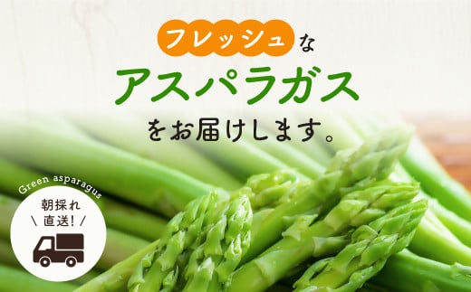 大分県豊後高田市のふるさと納税 グリーンアスパラガス（800g）【7月～9月配送】