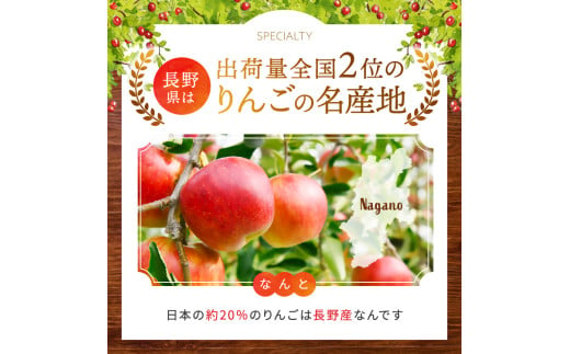 長野県松川村のふるさと納税 *【2024年 令和6年度発送 先行予約】東印平林農園 訳あり 安曇野の サンふじ 約9kg ｜ リンゴ りんご 林檎 果物 フルーツ 果実 果汁 サンふじ さんふじ 家庭用 わけあり 訳アリ 長野県 松川村 信州