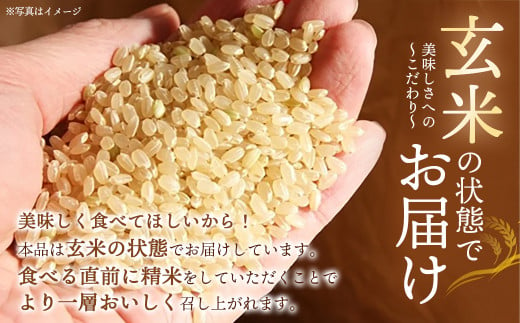 宮城県川崎町のふるさと納税 【令和6年産】みやぎ川崎産 つや姫 10kg（玄米）【04324-0267】