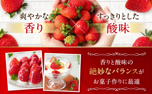 すずあかね 600gイチゴ いちご 苺 フルーツ 果物 季節限定 期間限定 発送