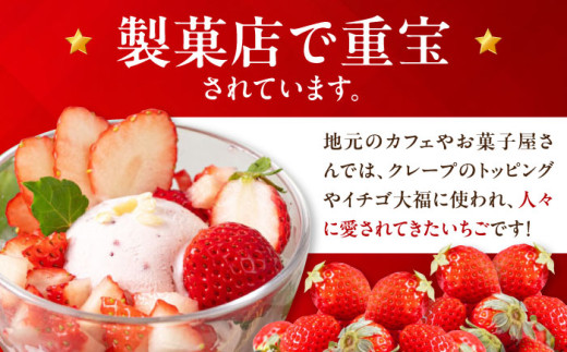 すずあかね 600gイチゴ いちご 苺 フルーツ 果物 季節限定 期間限定 発送