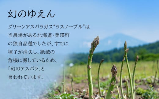 北海道美瑛町のふるさと納税 【2025年産！】北海道 美瑛町幻のアスパラ 本山農場のラスノーブル（グリーンアスパラ）2S～Sサイズ 1kg | グリーン アスパラガス アスパラ あすぱら あすぱらがす 採れたて 新鮮 旬 産地直送 野菜[008-27]