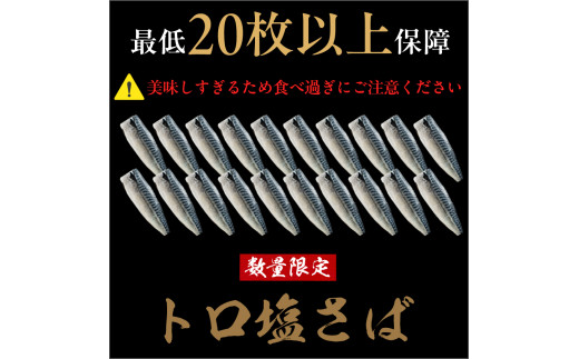 千葉県銚子市のふるさと納税 【訳あり】 トロ 塩サバ フィレ3.5kg 塩鯖  美味しいさば 魚 海鮮 家庭用 おかず 規格外  飯田商店 千葉 銚子