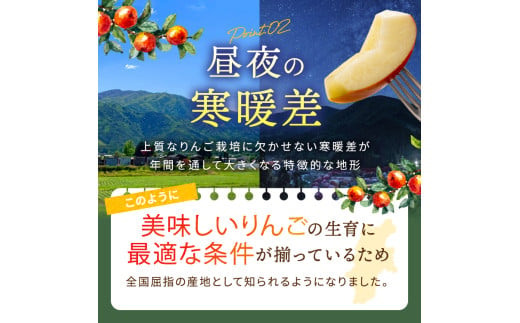 長野県松川村のふるさと納税 *【2024年 令和6年度発送 先行予約】東印平林農園 訳あり 安曇野の サンふじ 約9kg ｜ リンゴ りんご 林檎 果物 フルーツ 果実 果汁 サンふじ さんふじ 家庭用 わけあり 訳アリ 長野県 松川村 信州