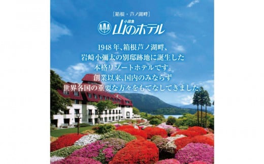 神奈川県箱根町のふるさと納税 山のホテル ビーフシチュー 4個セット