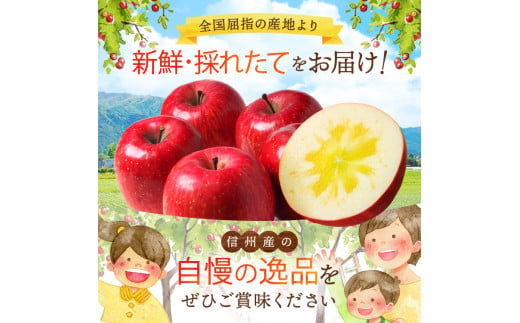 長野県松川村のふるさと納税 *【2024年 令和6年度発送 先行予約】東印平林農園 訳あり 安曇野の サンふじ 約9kg ｜ リンゴ りんご 林檎 果物 フルーツ 果実 果汁 サンふじ さんふじ 家庭用 わけあり 訳アリ 長野県 松川村 信州