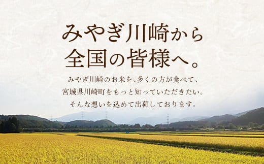 宮城県川崎町のふるさと納税 【令和6年産】みやぎ川崎産 つや姫 10kg（玄米）【04324-0267】