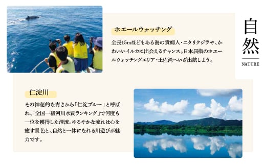 高知県土佐市のふるさと納税 ホエールウォッチング 大人２名分相当 14000円分クーポン レジャー 体験型 アクティビティ ウォッチング 観察 旅行 観光 遊ぶ クジラ くじら 鯨 イルカ 船 ボート 土佐湾 海 動物 自然 夫婦 カップル 家族 友達