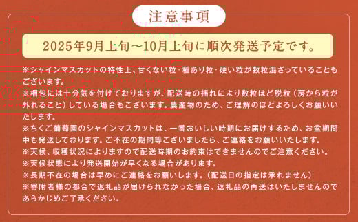 【訳あり】農園直送！ シャインマスカット 約2kg