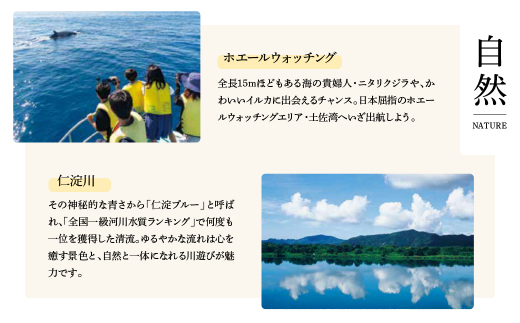 高知県土佐市のふるさと納税 訳あり　ネギトロ　700ｇ（70ｇ×10袋）