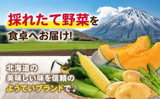 北海道喜茂別町のふるさと納税 【2025年8月以降順次発送】 赤肉メロン 約1.6kg×2玉 《喜茂別町》【Aコープようてい】 先行予約 数量限定 メロン 赤肉 フルーツ 果物 北海道 産地直送 [AJAK004] 13000 13000円