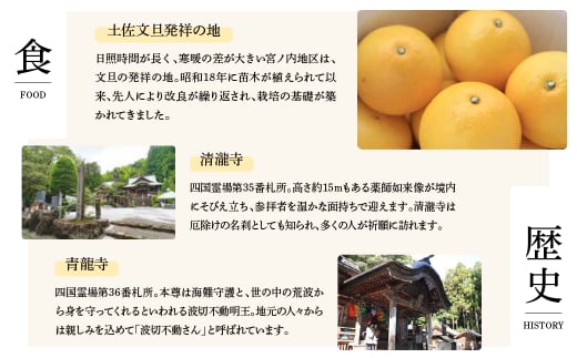 高知県土佐市のふるさと納税 園主こだわりの土佐文旦3キロ 小玉（L～Mサイズ） 2025年1月下旬より順次発送 ぶんたん ブンタン 柑橘 みかん フルーツ 果物 お取り寄せ 土佐 高知 やの一果彩