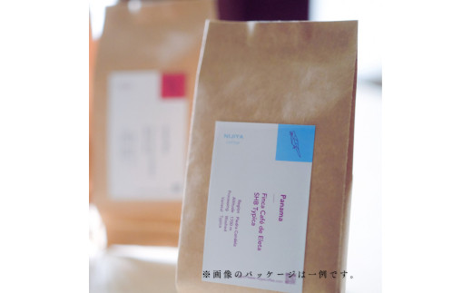 【定期便：6ヶ月連続でお届け】シングルオリジンコーヒー 100g × 3品種（中挽き）計300g×6ヶ月
