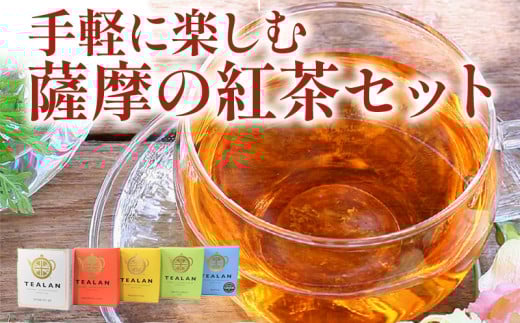 073-06 手軽に楽しむ薩摩の紅茶セット 228669 - 鹿児島県南九州市