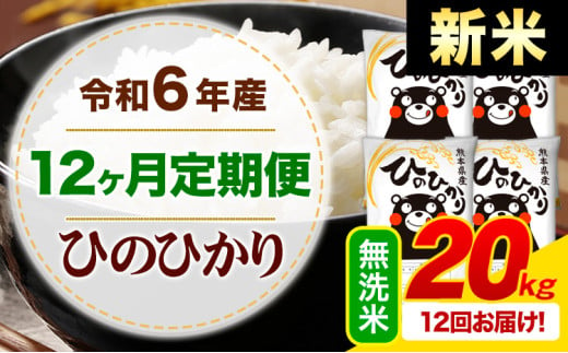 【12ヶ月定期便】令和6年産 新米 無洗米 早期先行予約受付中 ひのひかり 定期便 20kg《申込み翌月から発送》令和6年産 熊本県産 ふるさと納税 精米 ひの 米 こめ ふるさとのうぜい ヒノヒカリ コメ お米