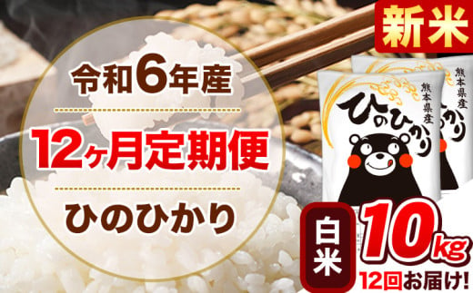 令和6年産新米 【12ヵ月定期便】 白米 ひのひかり 定期便 10kg 5kg×2袋《お申込み翌月から出荷開始》 熊本県産 精米 ひの 米 こめ ヒノヒカリ コメ お米 1582162 - 熊本県津奈木町