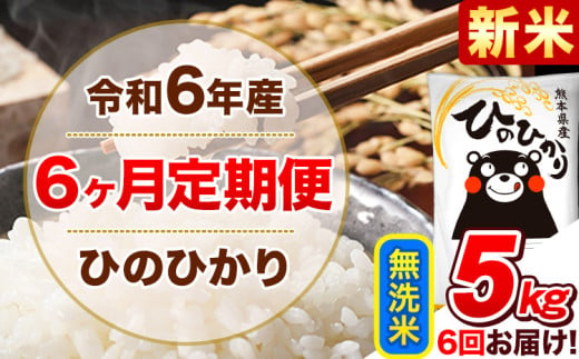 令和6年産新米 【6ヵ月定期便】 無洗米 ひのひかり 定期便 5kg 5kg×1袋《お申込み翌月から出荷開始》 熊本県産 精米 ひの 米 こめ ヒノヒカリ コメ お米 1582154 - 熊本県津奈木町