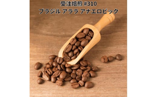 コーヒー豆 #310 ブラジル サンコーヒー アララ アナエロビック 受注焙煎！310g 珈琲豆  自家焙煎