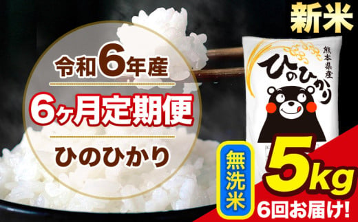 令和6年産 新米 【6ヶ月定期便】 ひのひかり 無洗米 5kg 5kg×1袋 計6回お届け 熊本県産 こめ コメ 無洗米 精米 荒尾市 ひの 米 定期 《お申込み月の翌月から出荷開始》 1569983 - 熊本県荒尾市