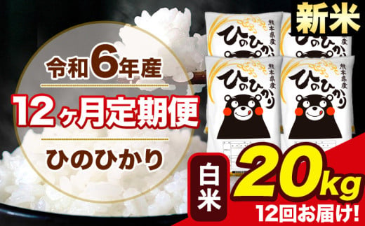 令和6年産 新米 【12ヶ月定期便】 ひのひかり 白米 20kg 5kg×4袋 計12回お届け 熊本県産 こめ コメ 白米 精米 荒尾市 ひの 米 定期 《お申込み月の翌月から出荷開始》