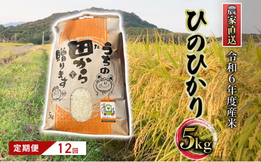 定期便12ヶ月 米 5kg 令和6年度産米 ひのひかり 筑後小郡産 農家直送 12回 お米 コメ お楽しみ