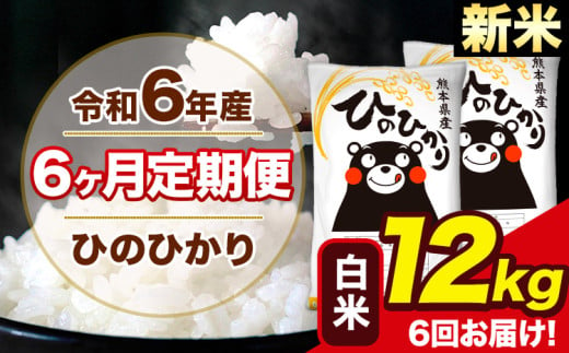 令和6年産 新米 【6ヶ月定期便】 ひのひかり 白米 12kg 6kg×2袋 計6回お届け 熊本県産 こめ コメ 白米 精米 荒尾市 ひの 米 定期 《お申込み月の翌月から出荷開始》