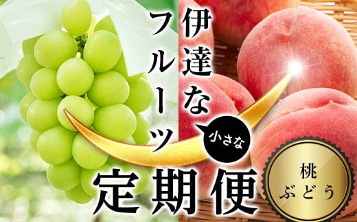 ＜2025年夏から開始の定期便＞伊達な小さなフル－ツ定期便（桃約1kg・ぶどう1房） 果物 フルーツ 桃 モモ 葡萄 ブドウ 福島県 伊達市 F21C-016