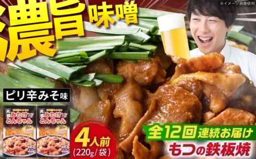 【12回定期便】岐阜県産豚もつの鉄板焼き「元祖みたけとんちゃん」ピリ辛みそ味（4人前） / モツ もつ 白もつ ホルモン / 御嵩町 / 藤よし [AVAA026] 1568089 - 岐阜県御嵩町